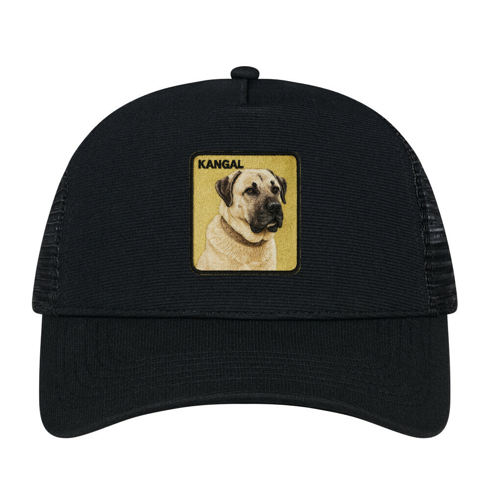 Image for color: schwarz