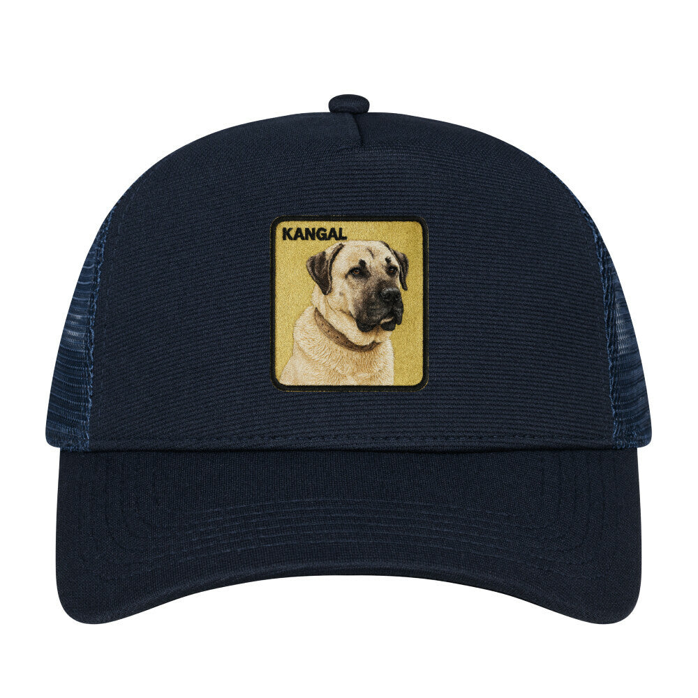 Image for color: french navy