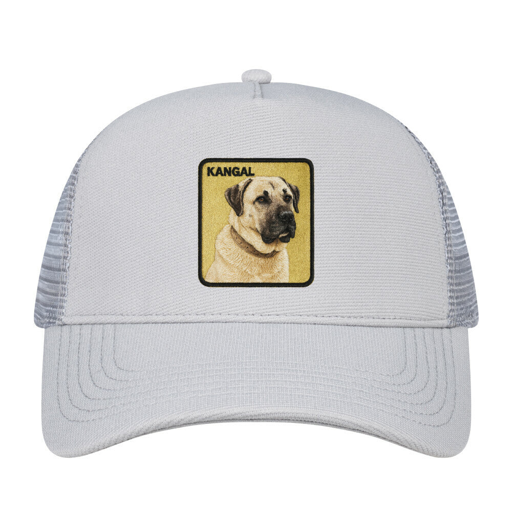 Image for color: hellgrau