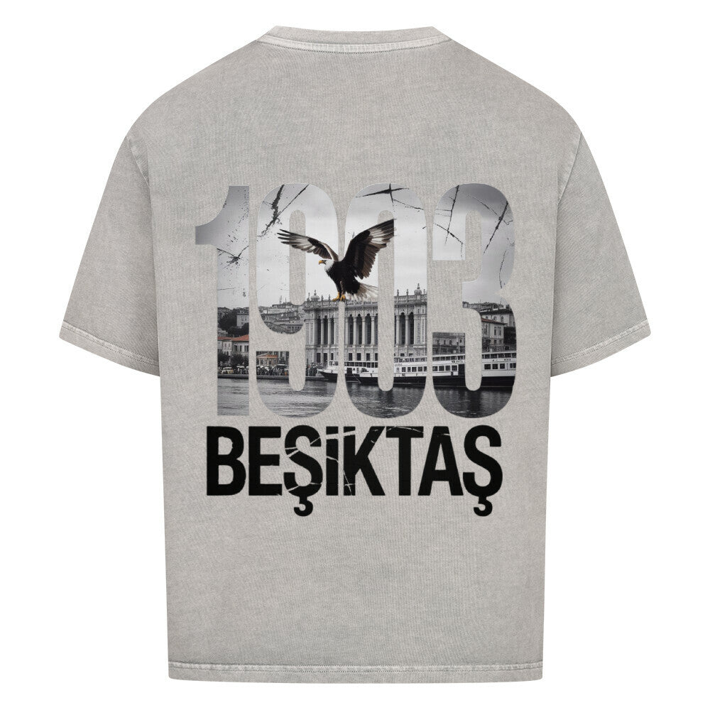 Image for color: washed grey